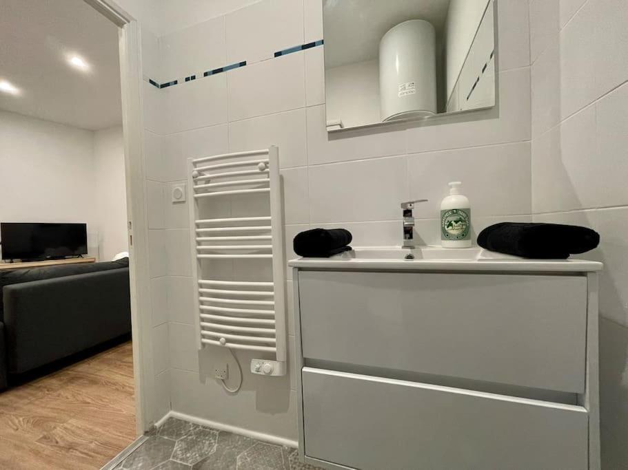 Les Appartements D'Arthur - Pont-Neuf Carcassonne Dış mekan fotoğraf