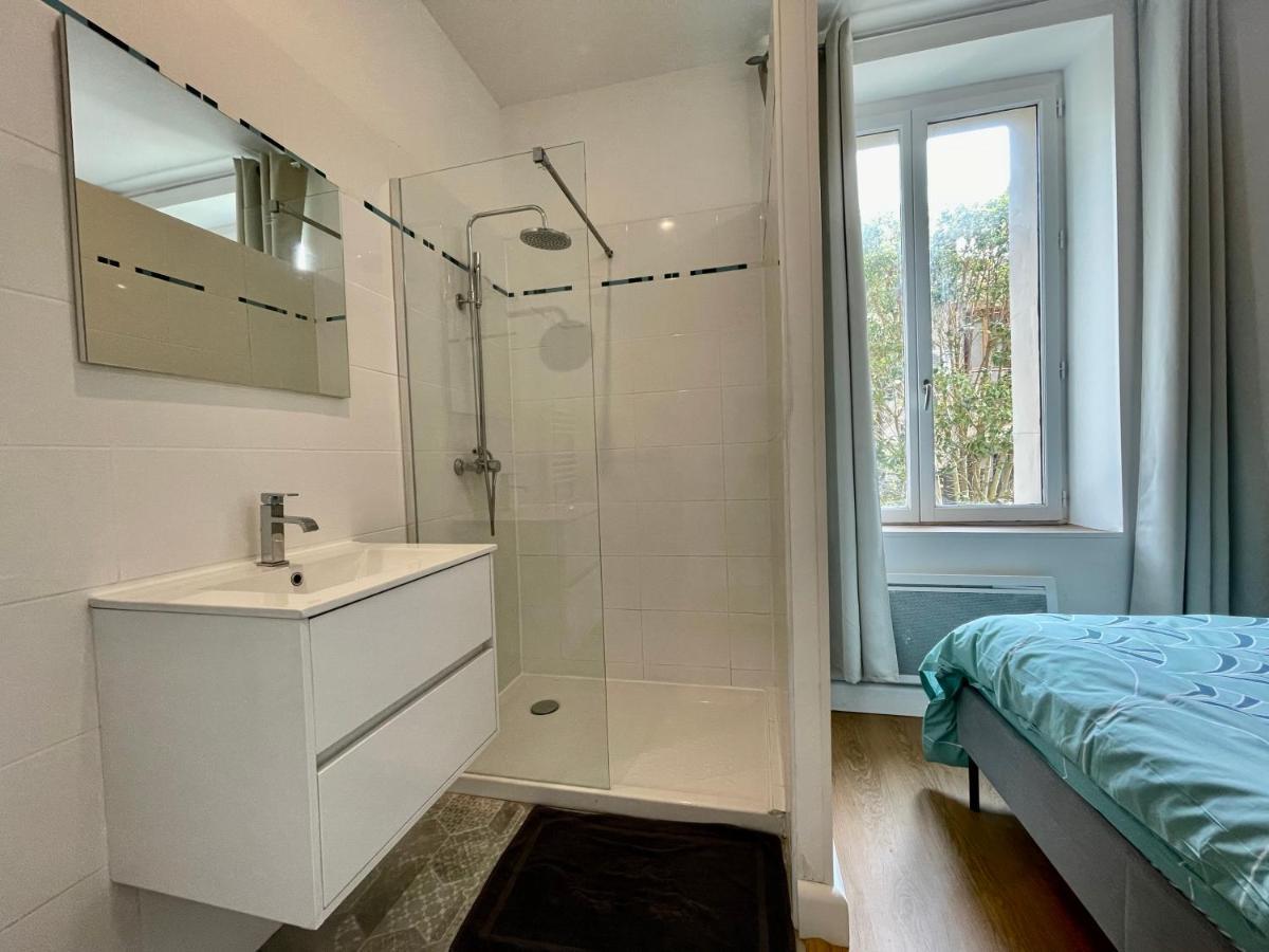 Les Appartements D'Arthur - Pont-Neuf Carcassonne Dış mekan fotoğraf
